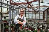 woman gardener working in greenhouse, posing crossed arms