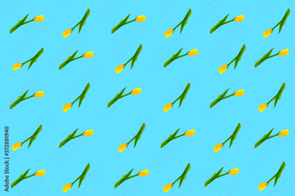 A pattern of isolated yellow tulips in random order. A pattern of isolated yellow tulips in random order.