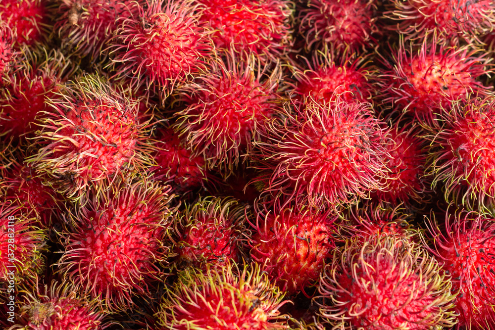 Red rambutan background.