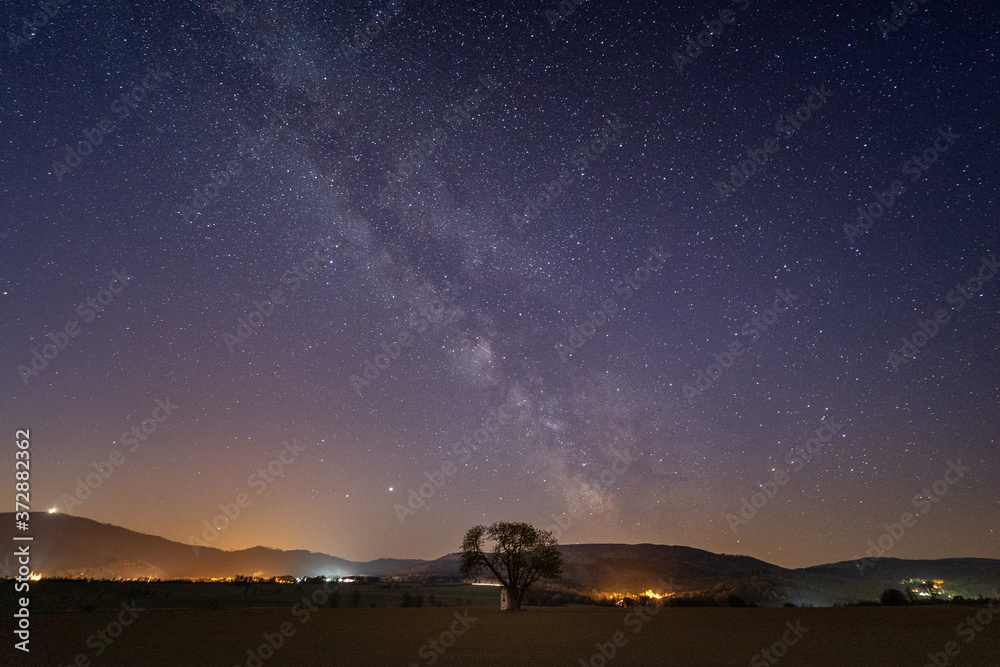 Milky Way with a single tree in Poland with a view to the mountains