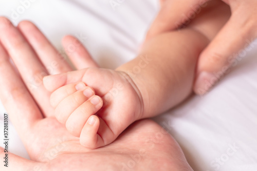 New born baby hand with  the hand of mother close up. © Kannapat