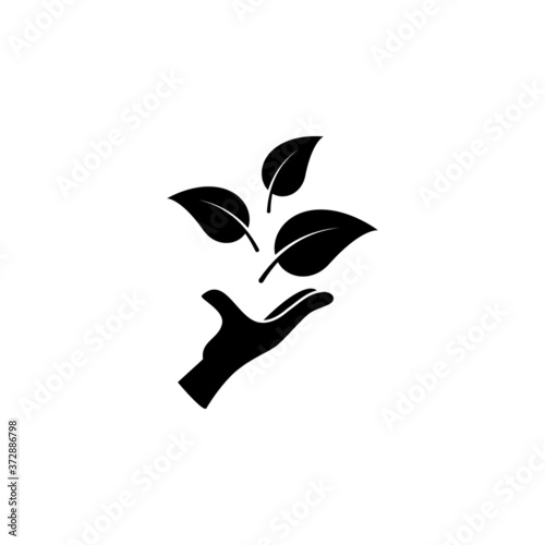 Herbal icon template