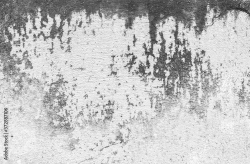 Abstract texture wall or concrete floor contaminated with fungi that look like Monochrom or vintage as a background image for the scene.