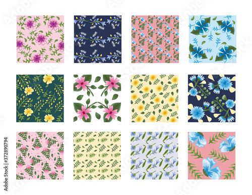 bundle of twelve Flowers patterns backgrounds