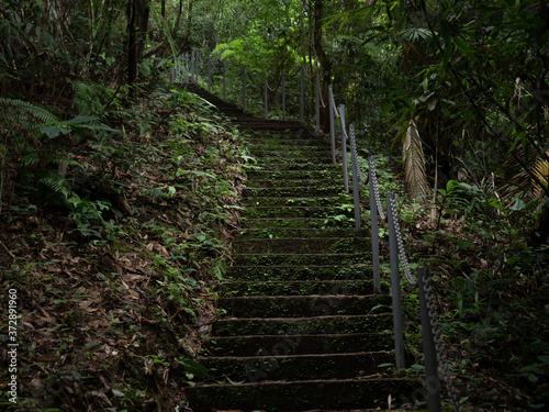 stair walk way in green rain forest with glow green plants. Waterfall in Nan  Thailand.