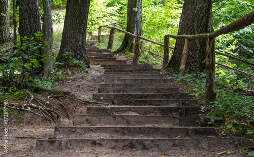 stairs on a trail in the woods