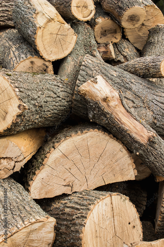 a huge mountain of wooden logs blank for the furnace a huge mountain of wooden logs blank for the furnace