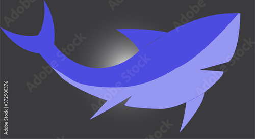 cartoon shark vector illustration