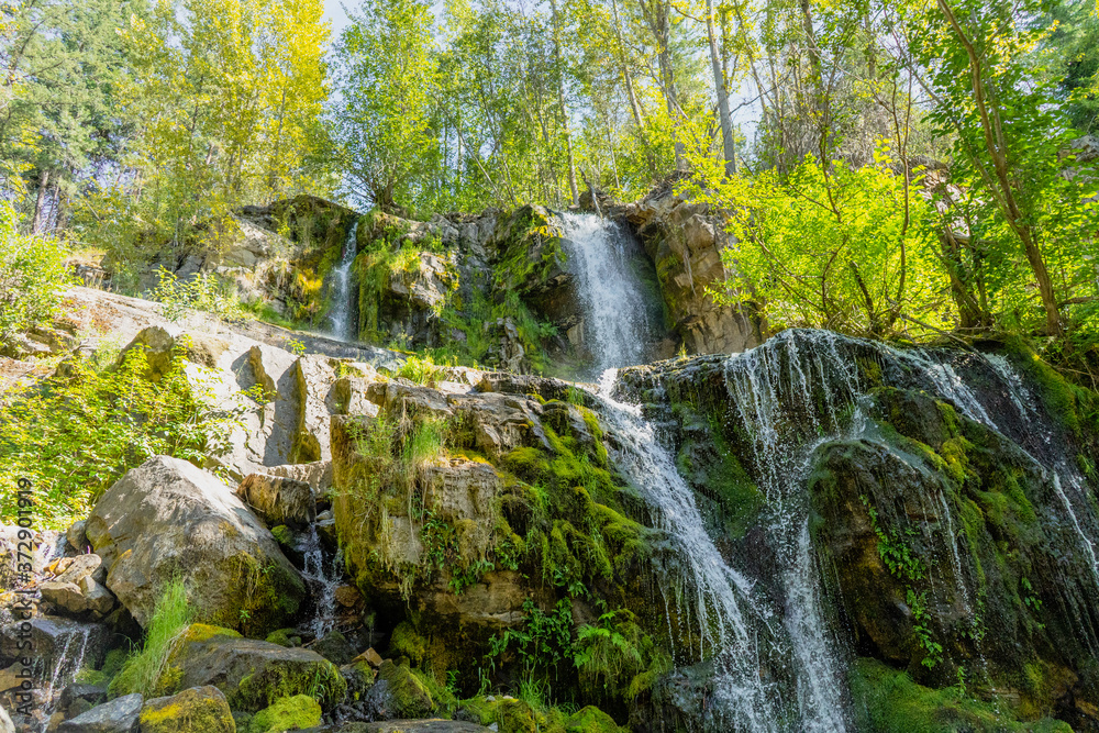 Obraz premium waterfall in the forest