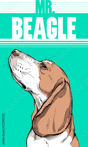 Beagle dog poster. Stylish image for printing on any surface