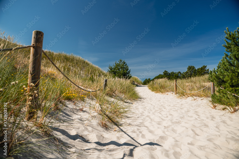 Sunny day on sandy beach - Leba, Poland