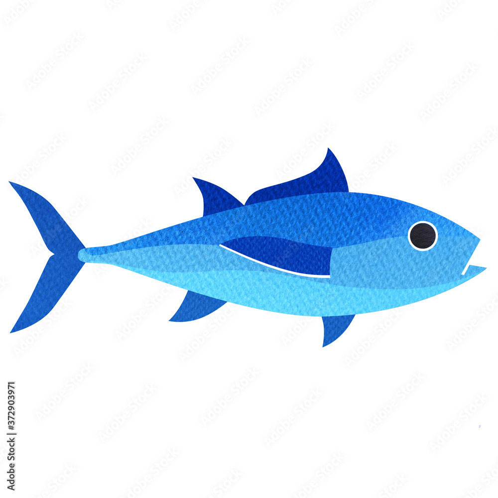 Naklejka premium Bluefin tuna, tunny, whole fresh saltwater fish, Thunnus thynnus, seafood, close-up, graphic flat icon, package design element, isolated, hand drawn watercolor illustration on white background