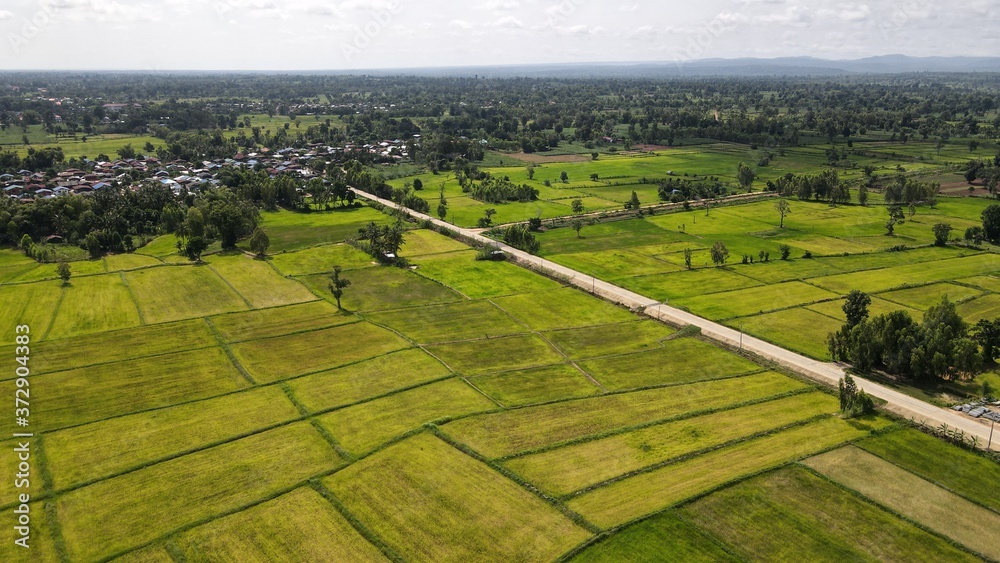 Village entrance road and rice field landscape at Phusing Sisaket Thailand.