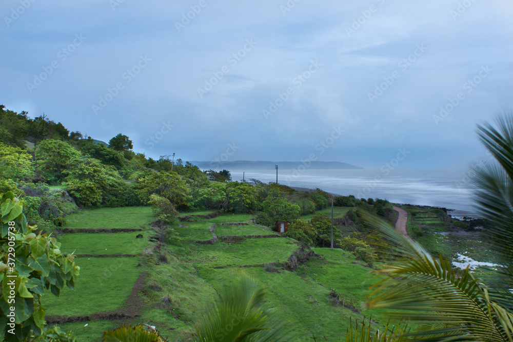 A terraced rice field at Konkan, Maharastra, Western India during the monsoons. A terraced rice field at Konkan, Maharastra, Western India during the monsoons.