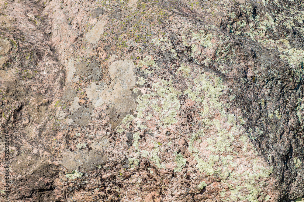Lichen-covered red granite texture Lichen-covered red granite texture