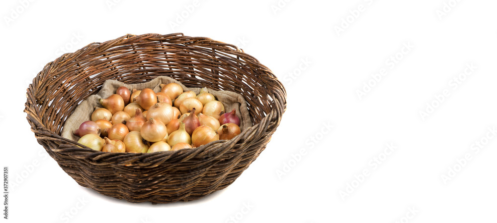 Collecting yellow and pink onions on a linen bag in a basket of vines isolated on a white background, side view. Full frame, Panorama. Vegetable background. Concept of food, farm products.