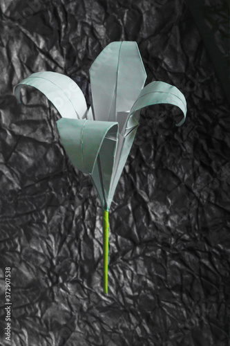 flower in a glass