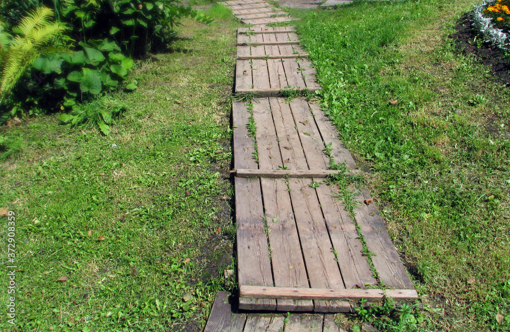 wooden bridge in the park