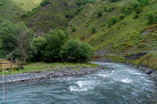 Fototapeta Naklejka Na Ścianę i Meble -  The mountain river Argun in Upper Khevsureti, Georgia