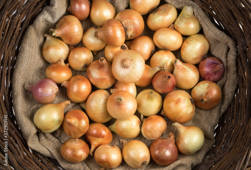 A basket of vines filled with yellow and pink onions lying on a linen bag, top view. An isolated object. Vegetable background. Concept of food, farm products.