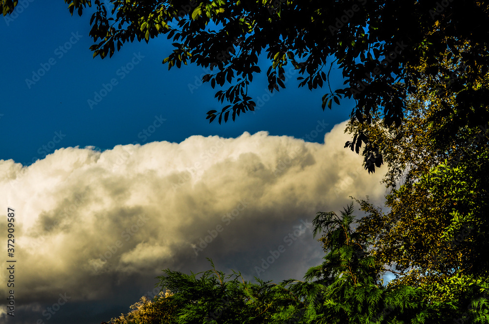 Obraz premium clouds over the forest