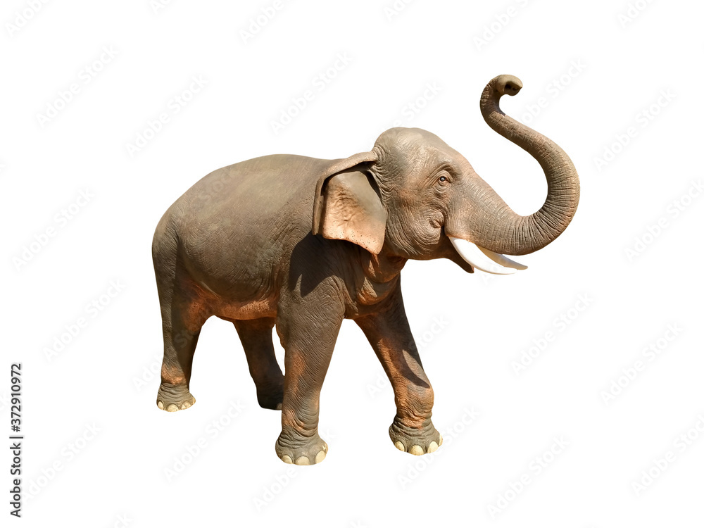 Asian elephant statue isolated on white background.