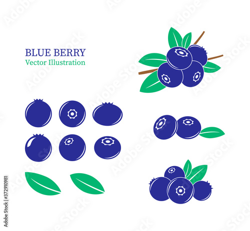 Blue berry constructor. Icon set. Fresh blueberry on white background eps 10 vector illustration.