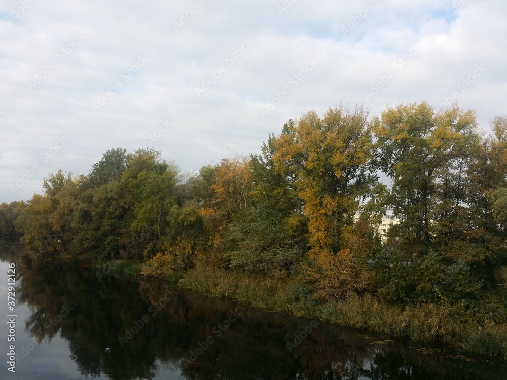 Beautiful autumn landscape forest and river with water reflection day light  Sumy region Ukraine