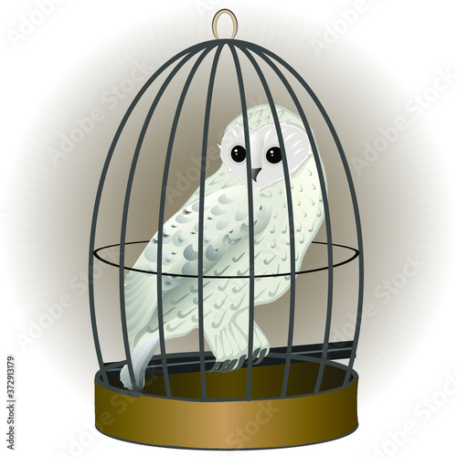 Magic white owl in a cage. Vector illustration