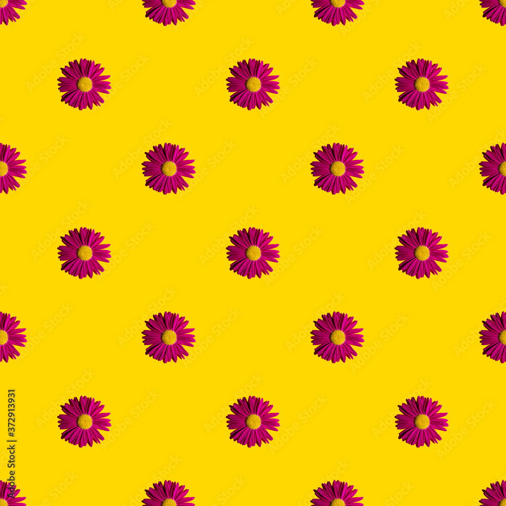 Fashionable summer floral pattern. Bright pink daisies on a yellow background with hard shadows, flat lay, top view, seamless texture. Minimalistic background in style pop art. Fabric and card ideas