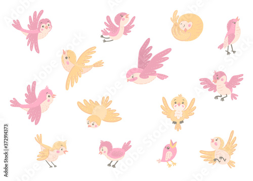 Set of little pink and yellow birds.