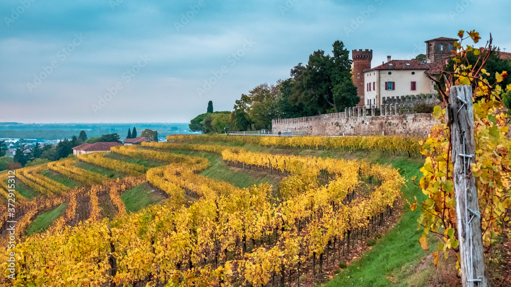 Naklejka premium Autumn sunset in the vineyards of Collio Friulano