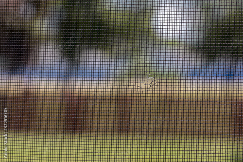 Closeup of old window screen mesh with hole. Concept of DIY home repair, maintenance, insect and bug control