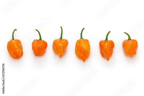 habanero hot chili pepper isolated on white background photo