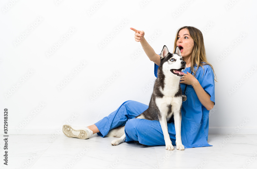 Veterinary doctor with Siberian Husky dog sitting on the floor pointing away
