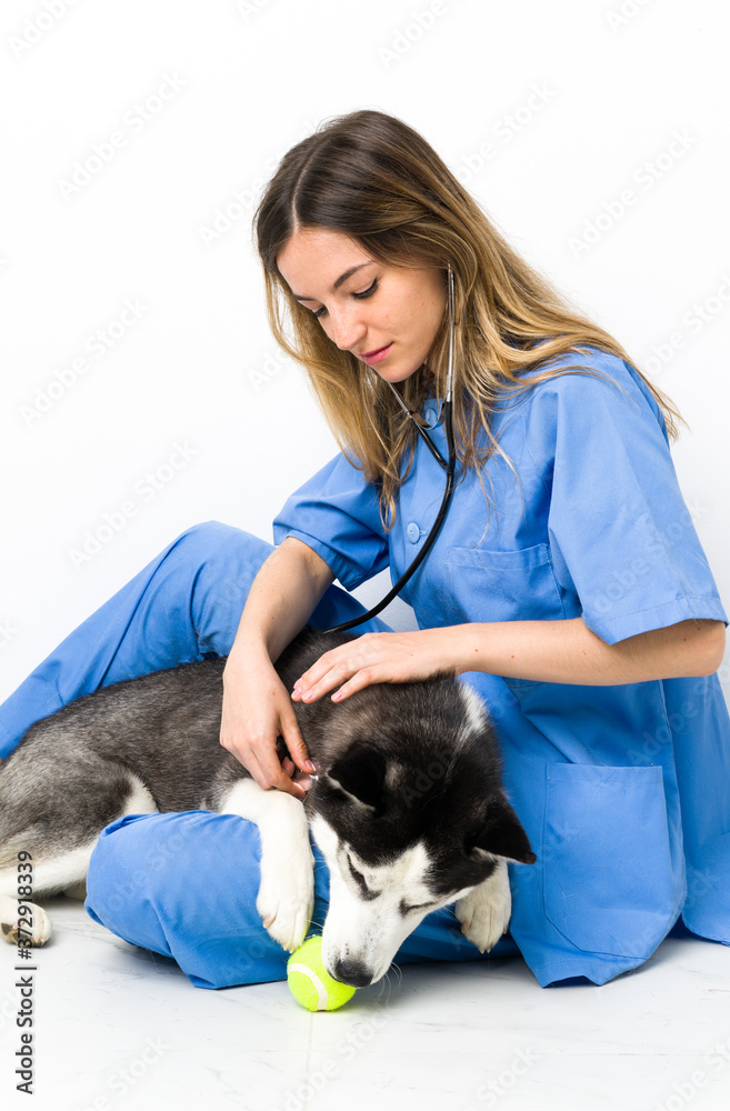 Veterinary doctor at vet clinic with Siberian Husky dog