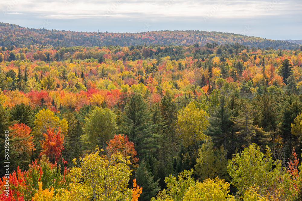 Fall in Maine. Peak leaf peeping week.