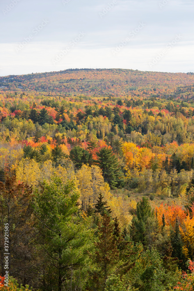 Fall in Maine. Peak leaf peeping week.