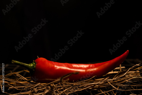 red hot chili peppers lie on dry grass and a metal grill