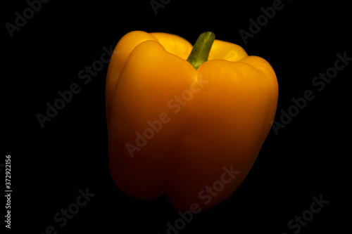 yellow sweet pepper on a black background.