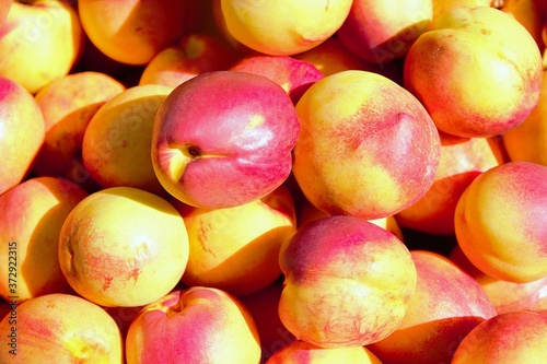 Nectarines, freshly harvested, for sale in a street market. Shallow depth of field, close-up