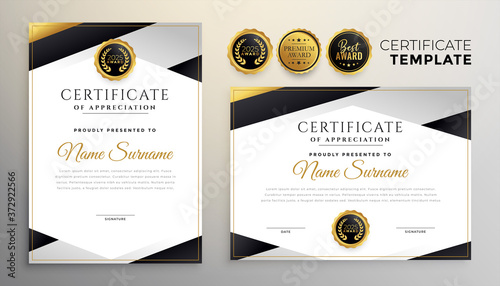stylish company certificate of achievement template set of two