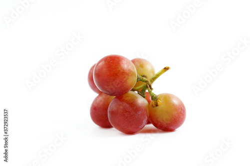 Red grapes on the vine on a white background