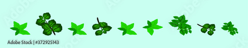 set of mint leaf cartoon icon design template  with various models. vector illustration