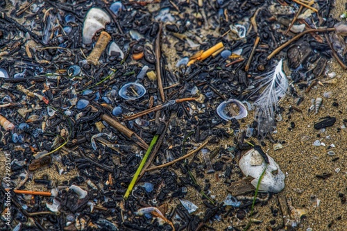 flotsam and jetsam