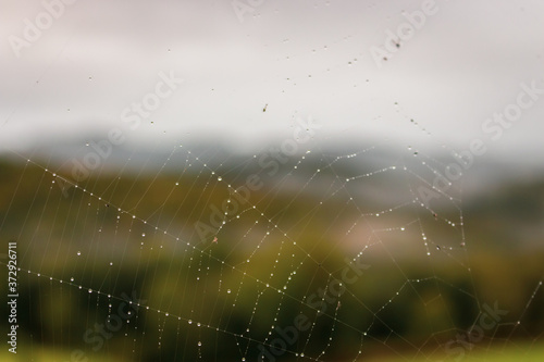 Spider web with dew with unfocused background. Water drops on web in the field. Nature close up. Autumn nature. Beautiful nature details. Freshness concept. Insect life concept. Spider web macro. 