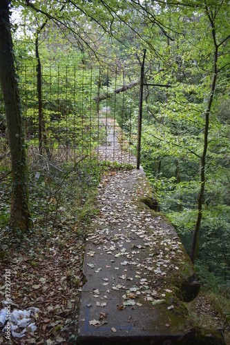 Brückenruine Ummigstalbrücke im Siegerland photo