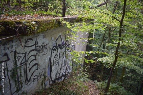 Brückenruine Ummigstalbrücke im Siegerland photo