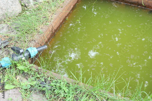 Green hose with water spraying on the pond.