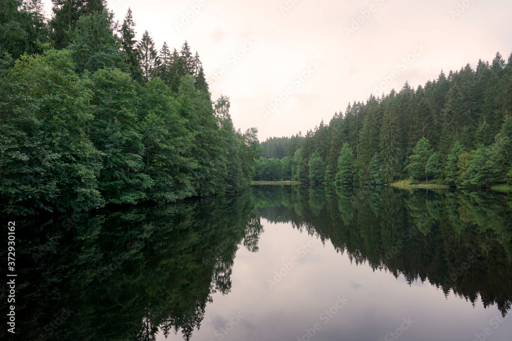 Ausblick auf den Hüttenteich in Altenau im Harz, die Bäume spiegeln sich im Wasser 